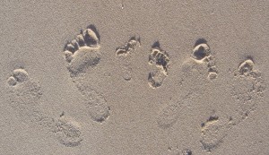 IMG_2262.JPG